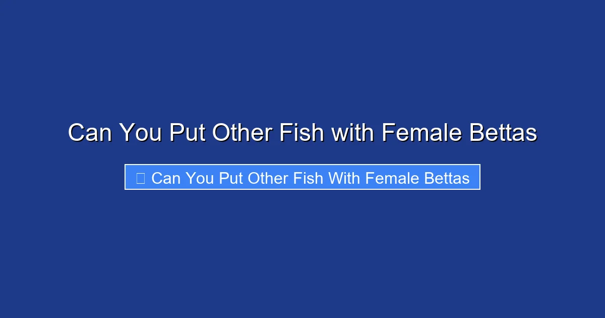 Can You Put Other Fish with Female Bettas
