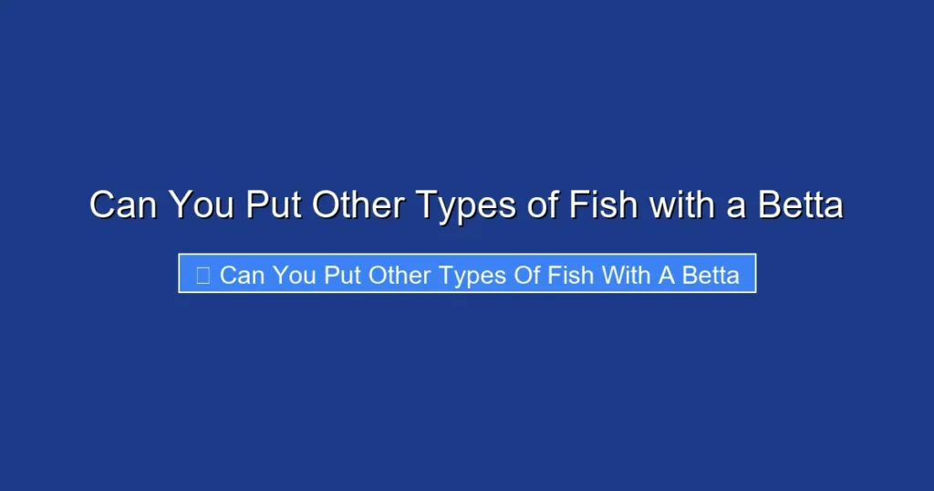 Can You Put Other Types of Fish with a Betta