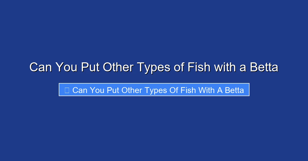 Can You Put Other Types of Fish with a Betta