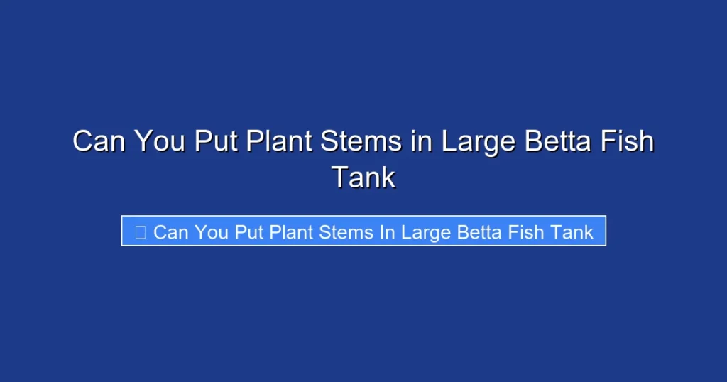 Can You Put Plant Stems in Large Betta Fish Tank