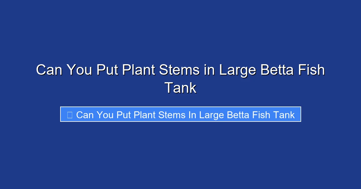 Can You Put Plant Stems in Large Betta Fish Tank