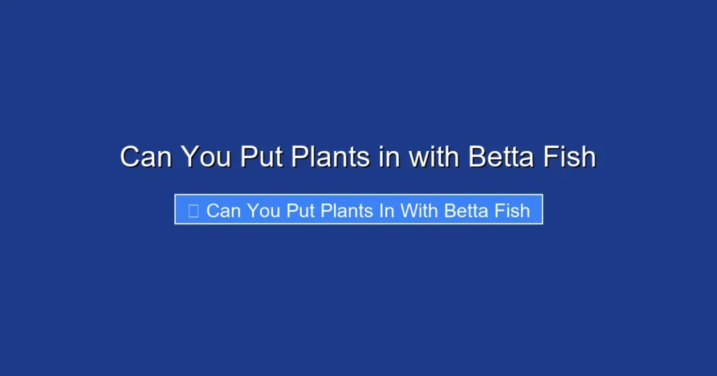 Can You Put Plants in with Betta Fish