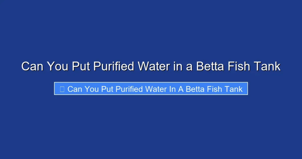 Can You Put Purified Water in a Betta Fish Tank