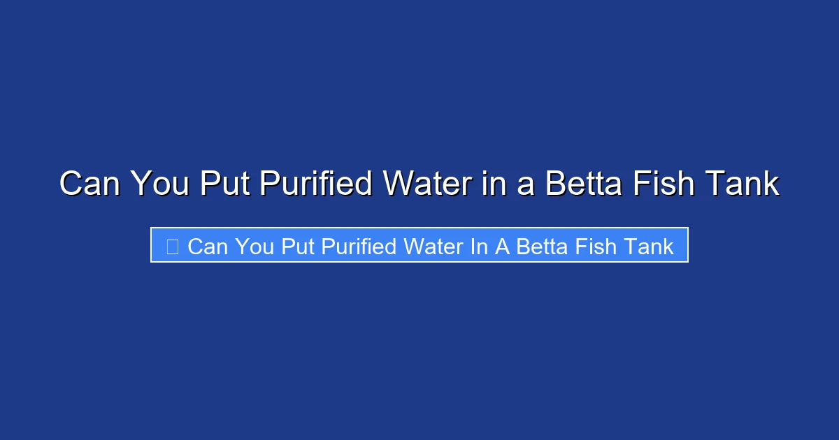 Can You Put Purified Water in a Betta Fish Tank