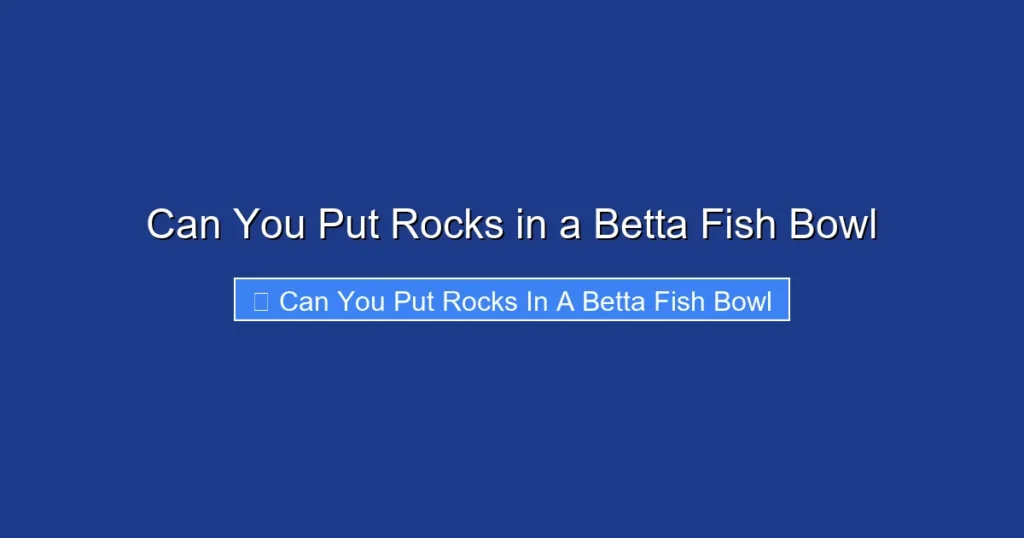 Can You Put Rocks in a Betta Fish Bowl