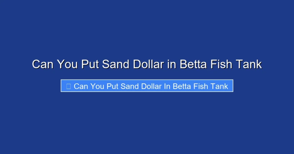 Can You Put Sand Dollar in Betta Fish Tank