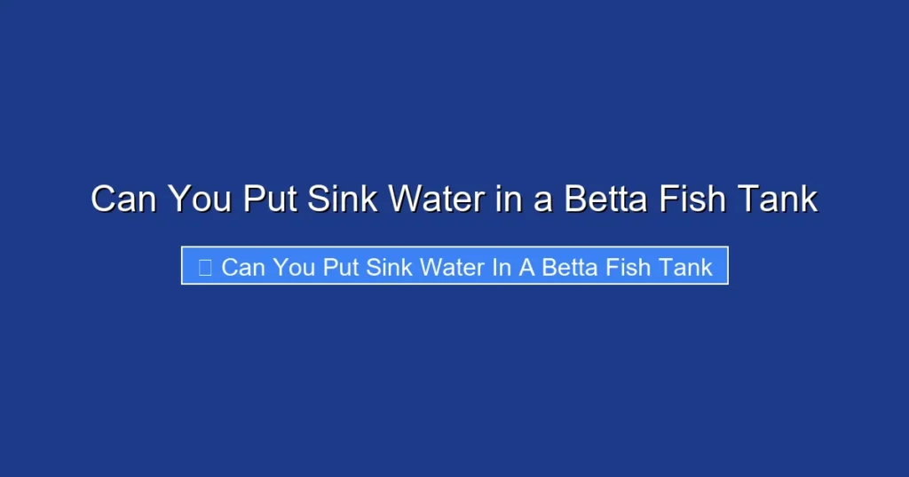Can You Put Sink Water in a Betta Fish Tank