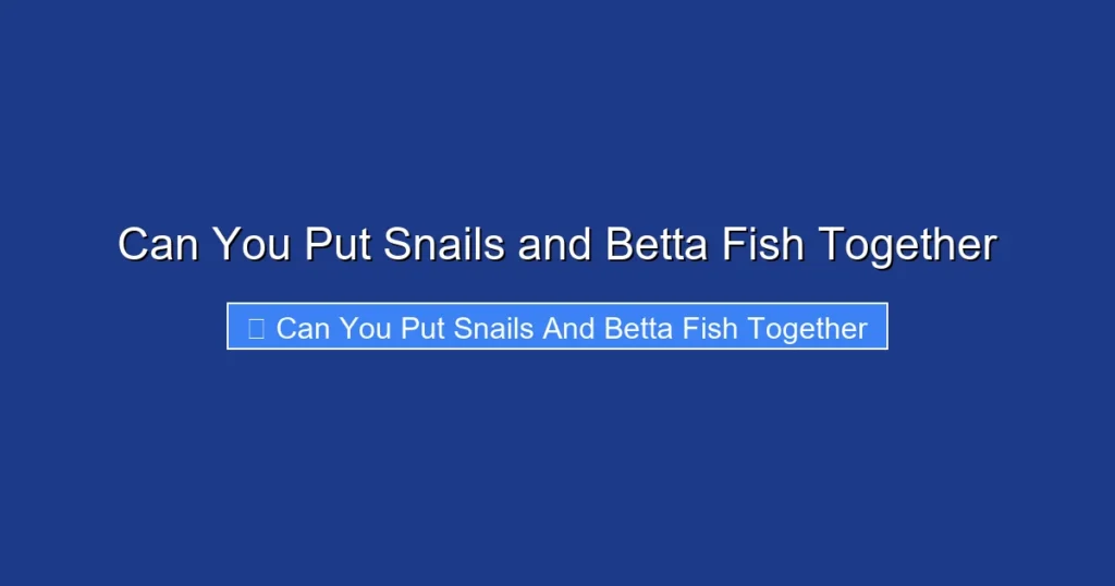 Can You Put Snails and Betta Fish Together