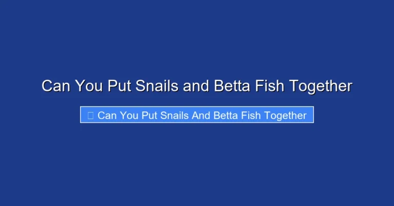 Can You Put Snails and Betta Fish Together