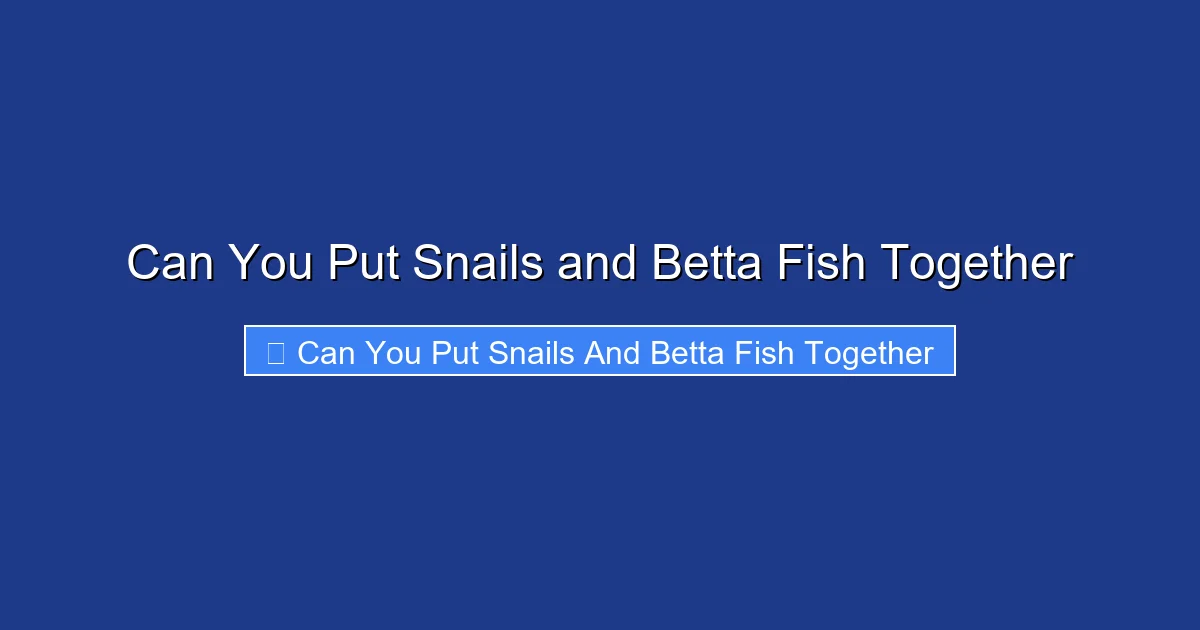Can You Put Snails and Betta Fish Together