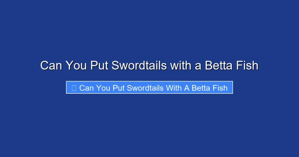 Can You Put Swordtails with a Betta Fish