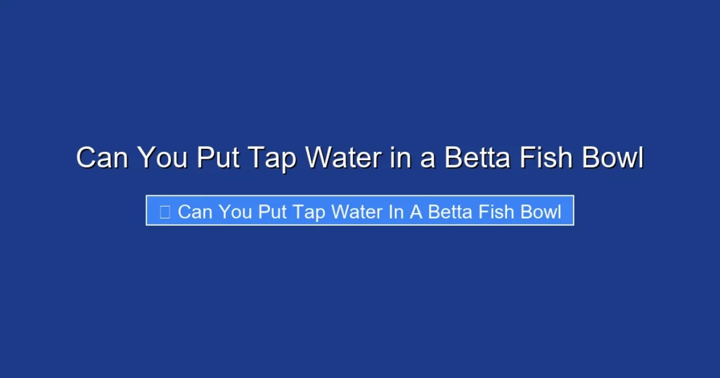 Can You Put Tap Water in a Betta Fish Bowl