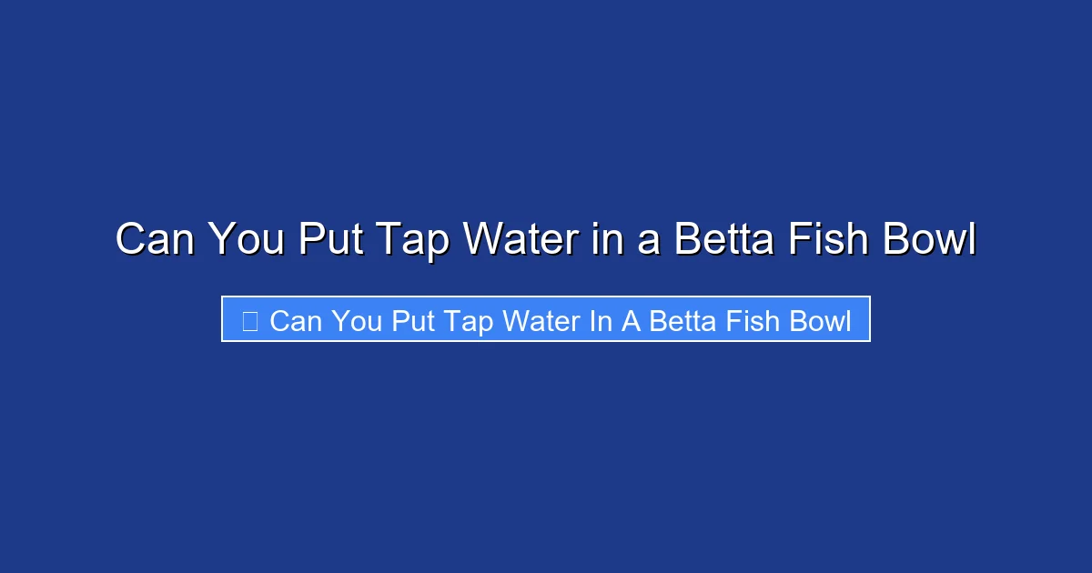 Can You Put Tap Water in a Betta Fish Bowl