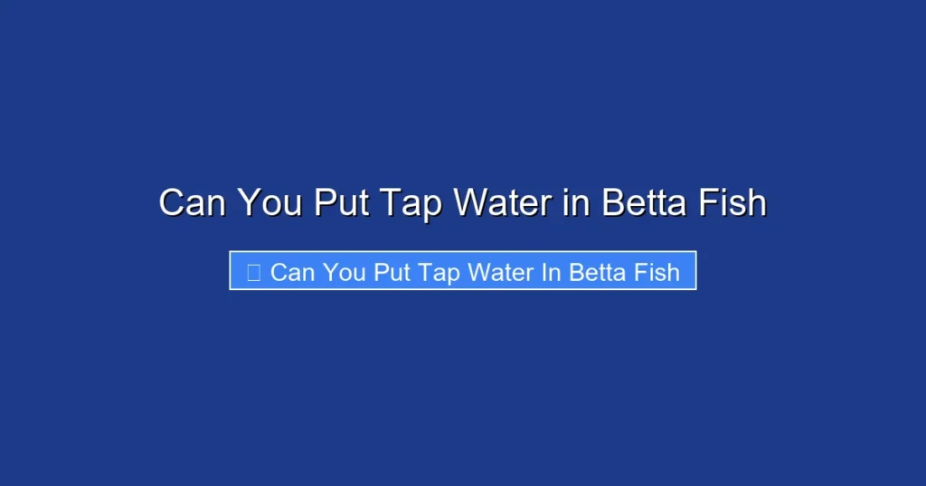 Can You Put Tap Water in Betta Fish