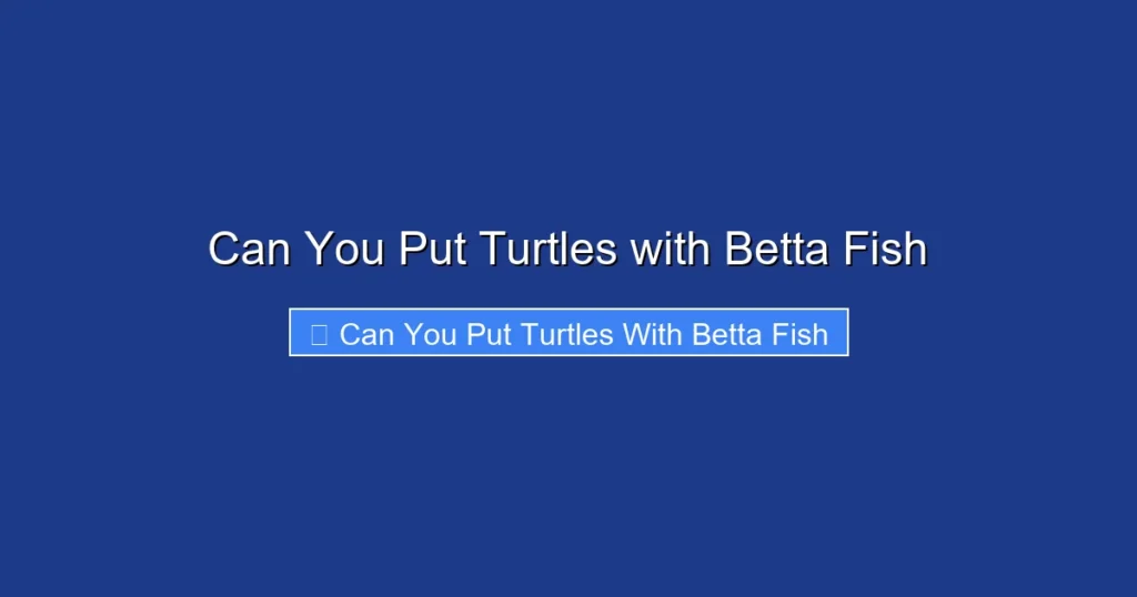 Can You Put Turtles with Betta Fish
