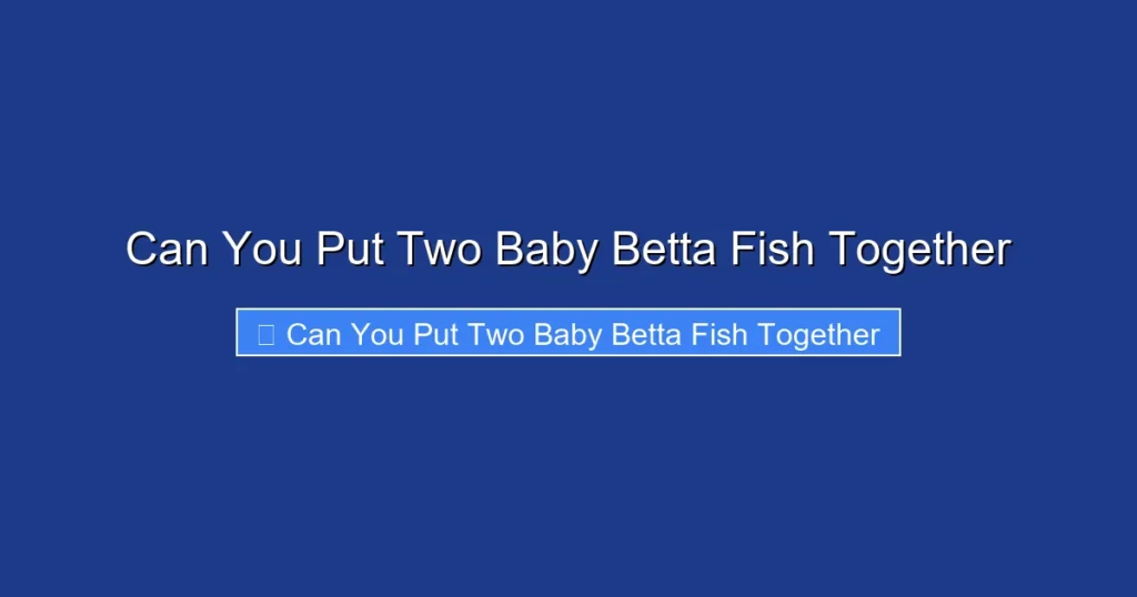 Can You Put Two Baby Betta Fish Together