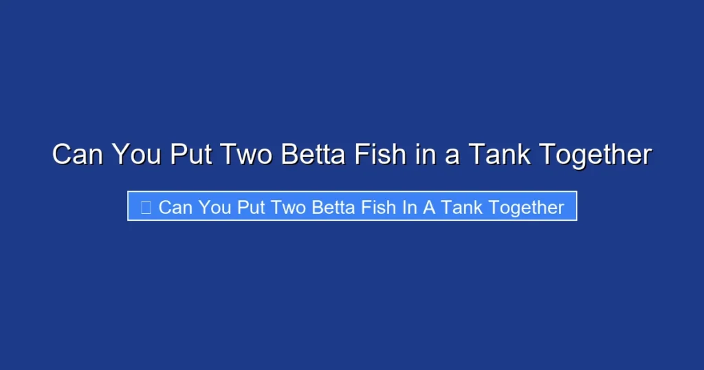 Can You Put Two Betta Fish in a Tank Together