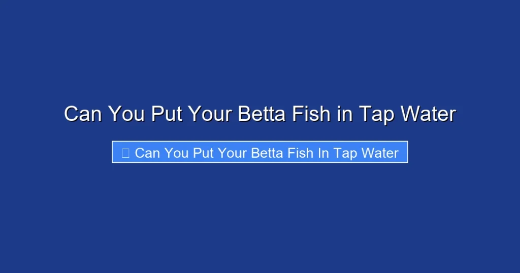 Can You Put Your Betta Fish in Tap Water
