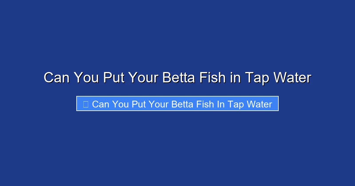 Can You Put Your Betta Fish in Tap Water