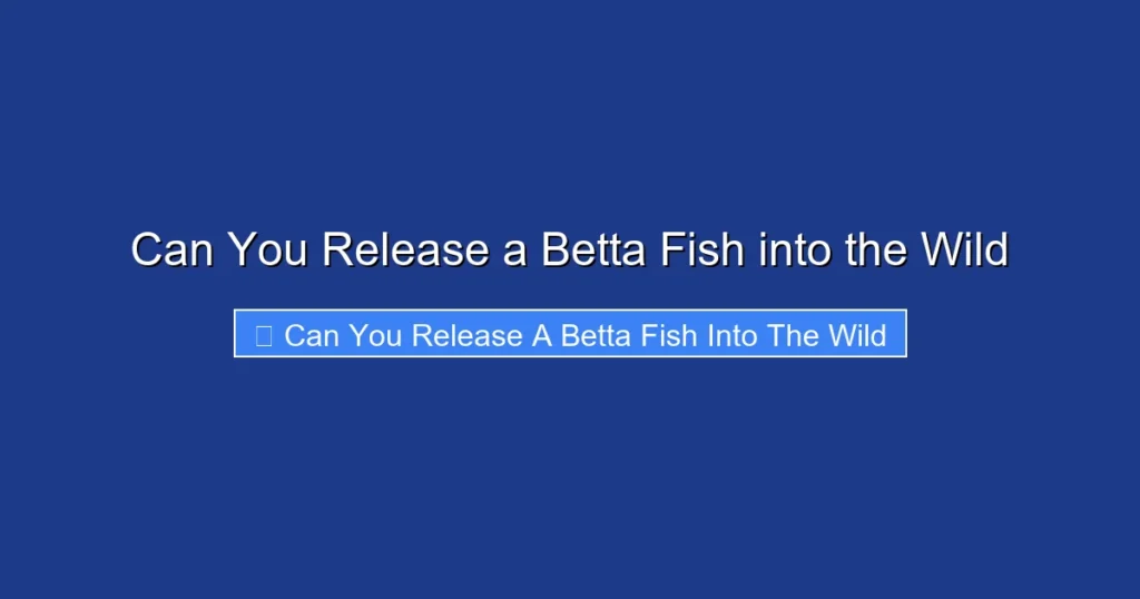 Can You Release a Betta Fish into the Wild