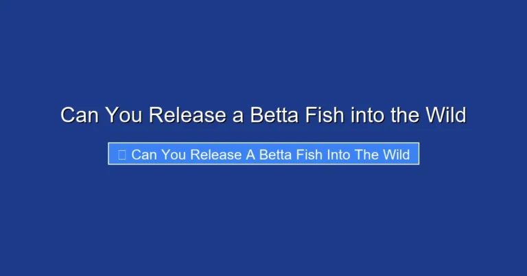 Can You Release a Betta Fish into the Wild