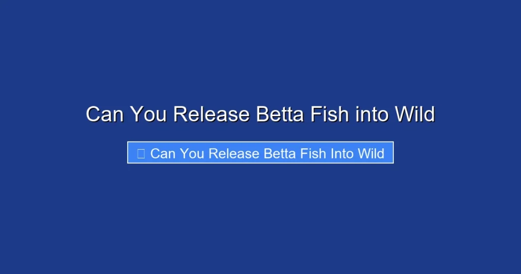 Can You Release Betta Fish into Wild