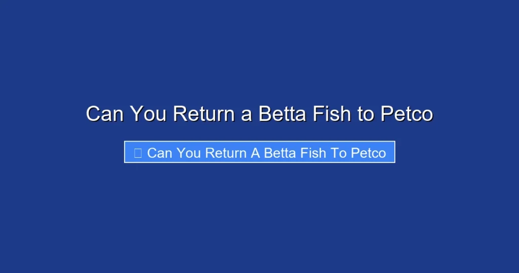 Can You Return a Betta Fish to Petco