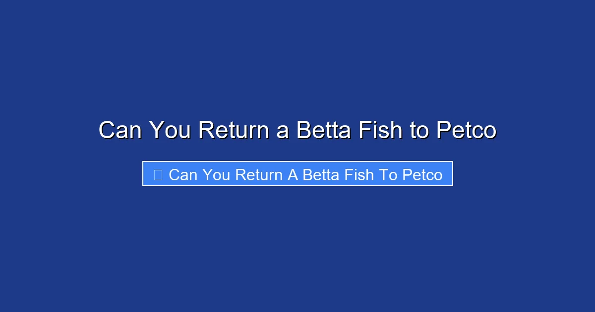 Can You Return a Betta Fish to Petco