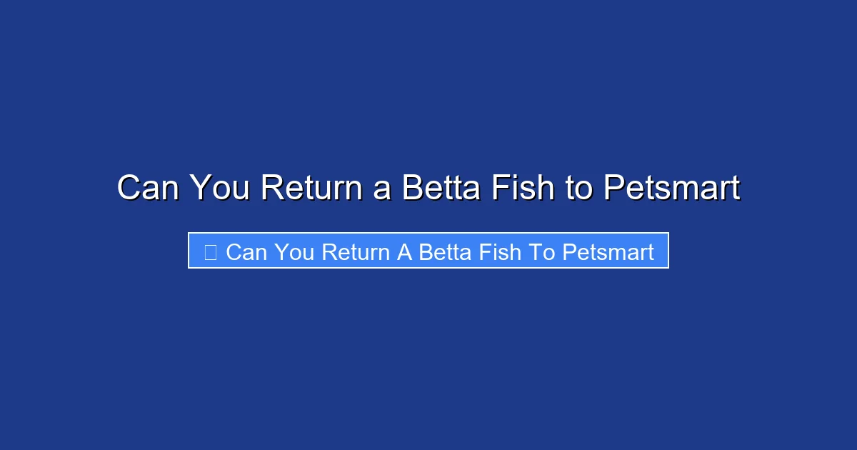 Can You Return a Betta Fish to Petsmart