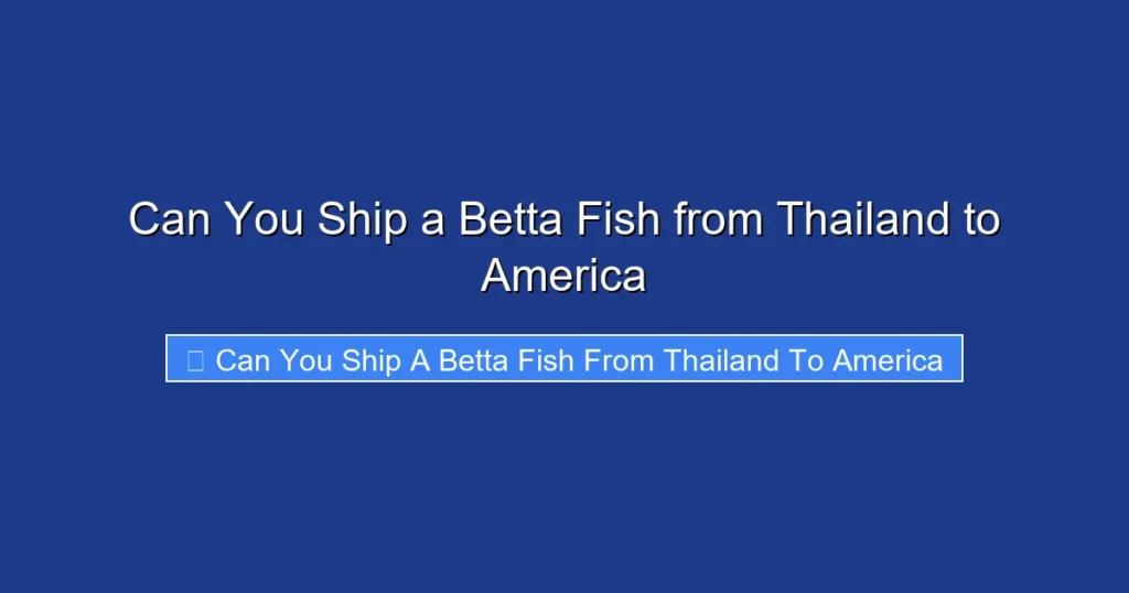 Can You Ship a Betta Fish from Thailand to America
