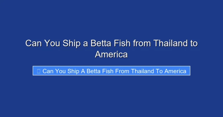 Can You Ship a Betta Fish from Thailand to America