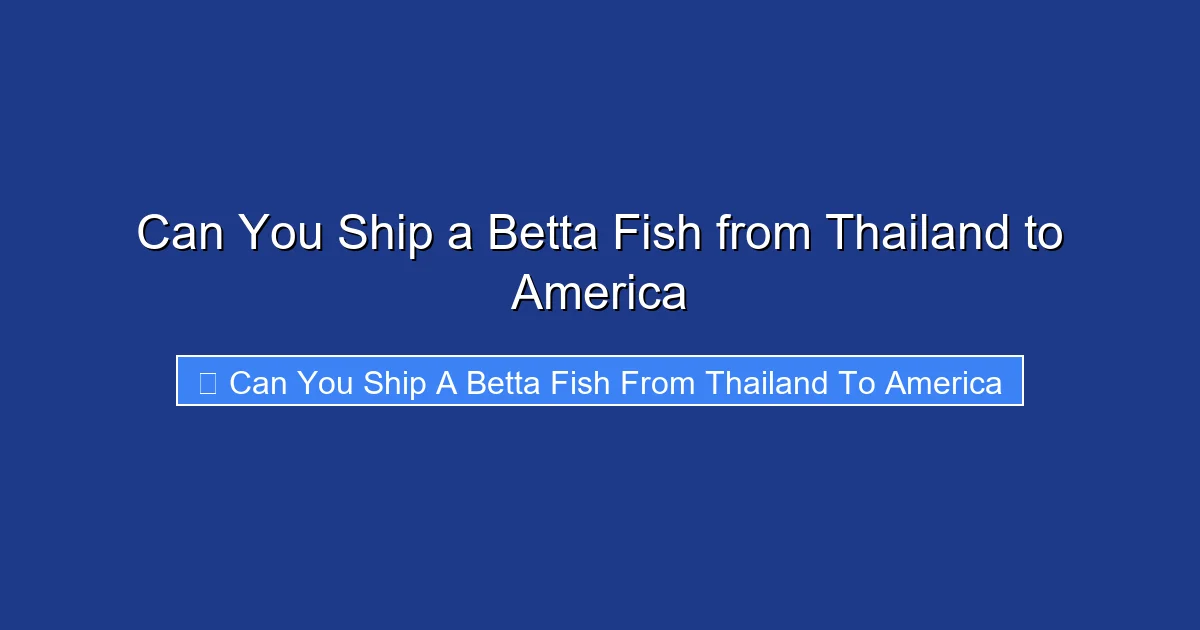 Can You Ship a Betta Fish from Thailand to America