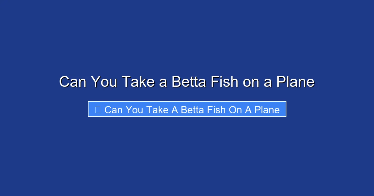 Can You Take a Betta Fish on a Plane