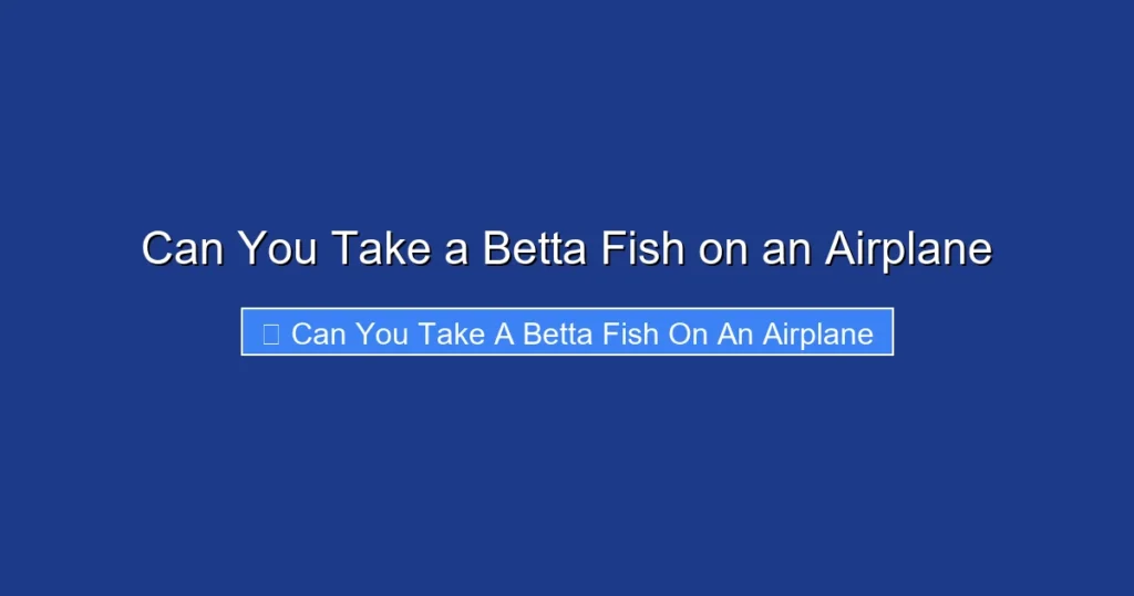 Can You Take a Betta Fish on an Airplane