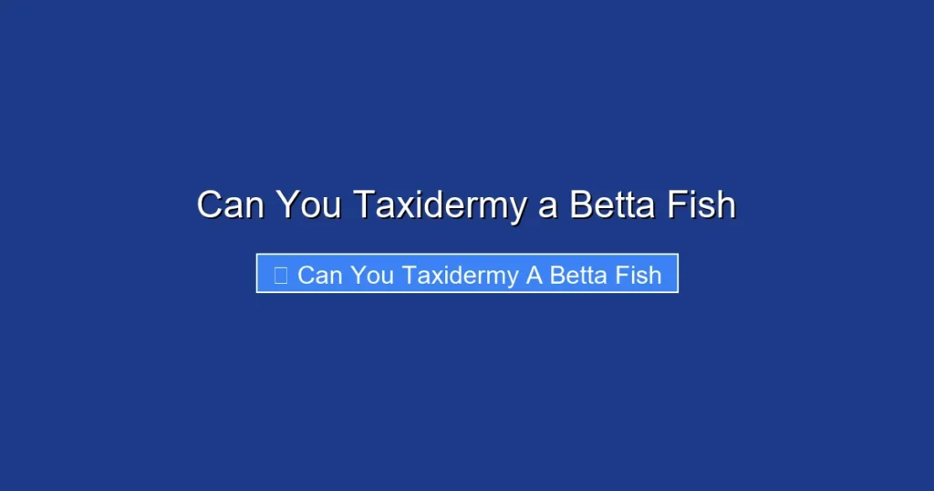 Can You Taxidermy a Betta Fish