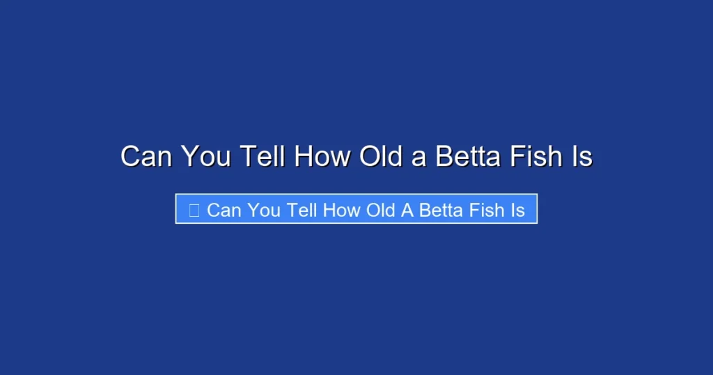 Can You Tell How Old a Betta Fish Is