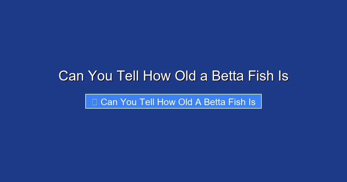 Can You Tell How Old a Betta Fish Is