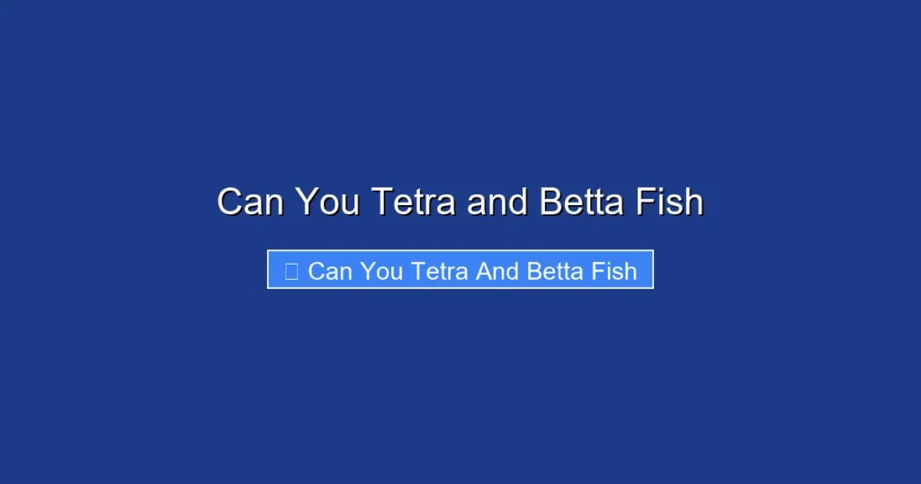 Can You Tetra and Betta Fish