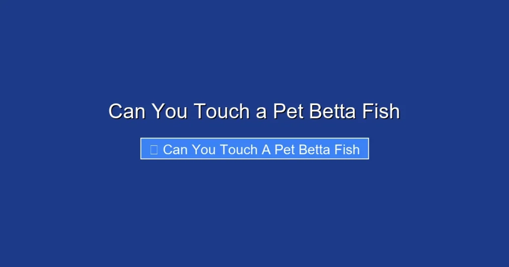 Can You Touch a Pet Betta Fish