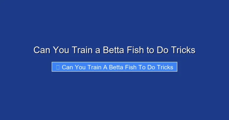 Can You Train a Betta Fish to Do Tricks