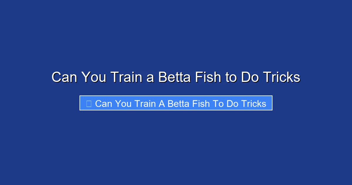 Can You Train a Betta Fish to Do Tricks