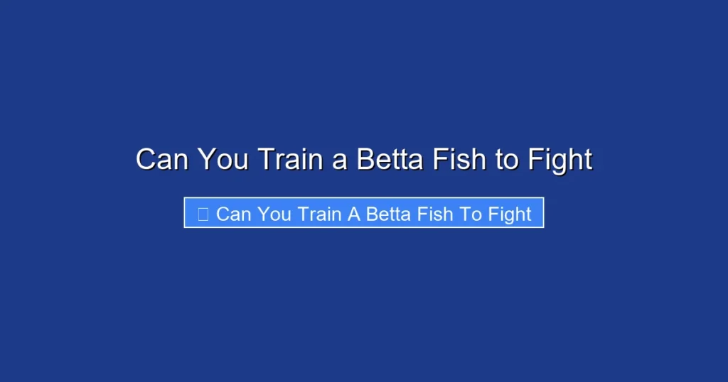 Can You Train a Betta Fish to Fight
