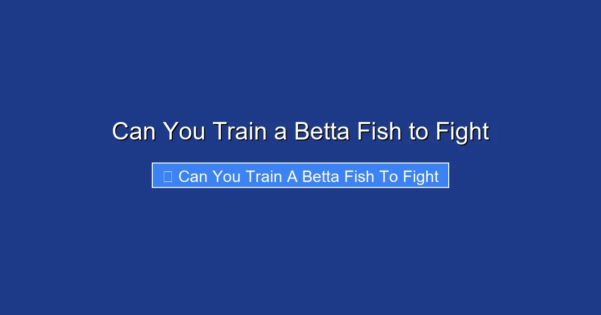 Can You Train a Betta Fish to Fight