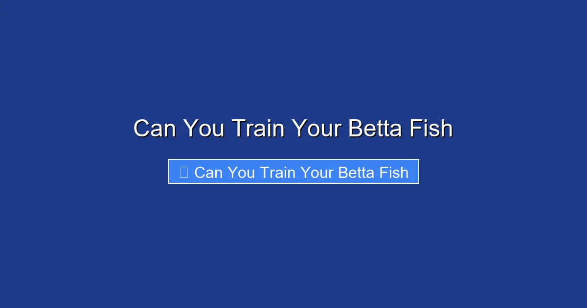 Can You Train Your Betta Fish