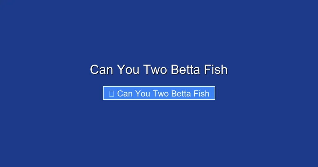 Can You Two Betta Fish