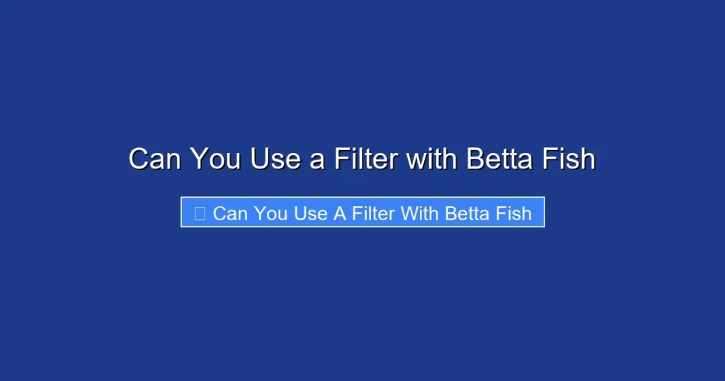 Can You Use a Filter with Betta Fish