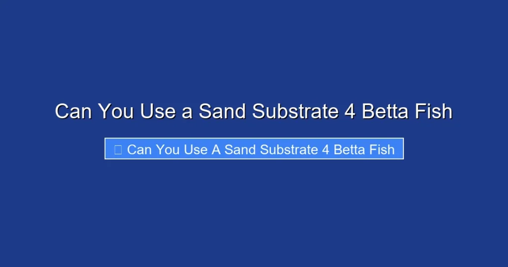 Can You Use a Sand Substrate 4 Betta Fish