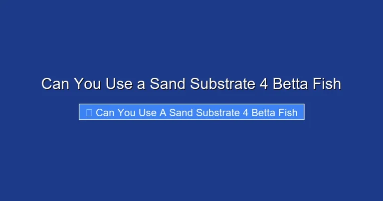 Can You Use a Sand Substrate 4 Betta Fish