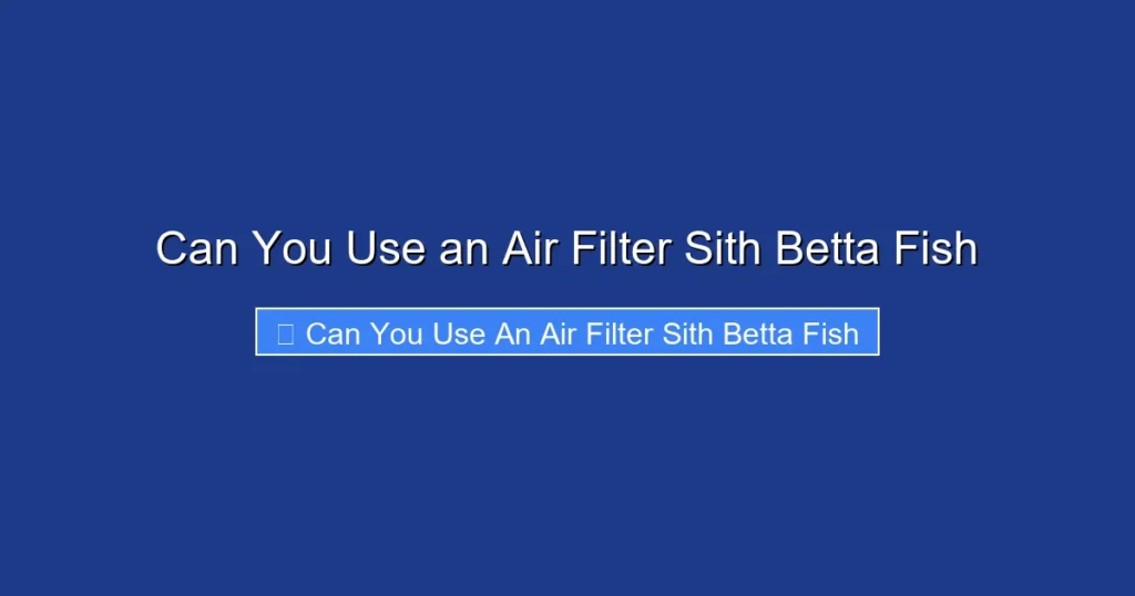 Can You Use an Air Filter Sith Betta Fish
