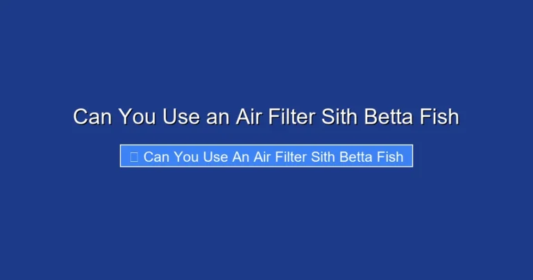 Can You Use an Air Filter Sith Betta Fish